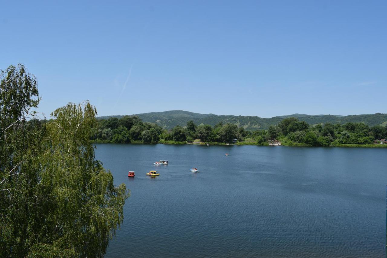Spa Koncept-Apartmani Veliko Gradište Dış mekan fotoğraf